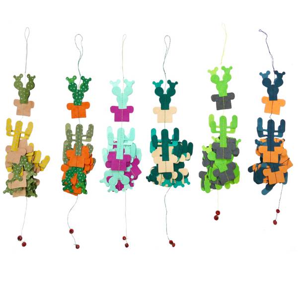 	 Cactus bcde.jpg