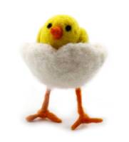 Picture of Crackling Egg Deco