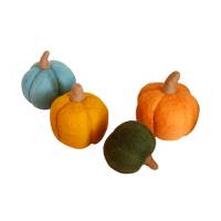Picture of Pumpkin Collection