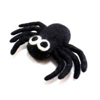 Picture of Spider Hanging