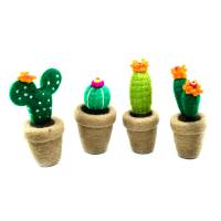 Picture of Cactus Hanging