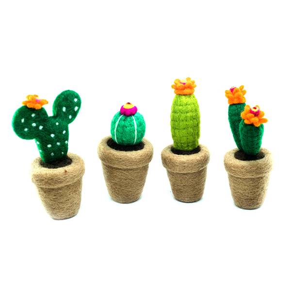 Picture of Cactus Hanging