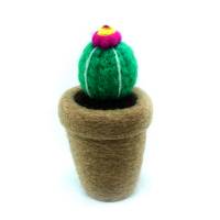 Picture of Cactus Hanging