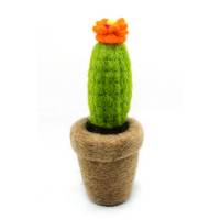 Picture of Cactus Hanging