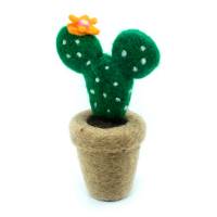 Picture of Cactus Hanging