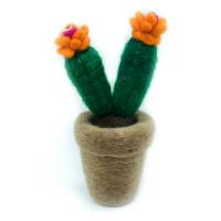 Picture of Cactus Hanging