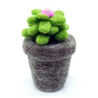 Picture of Cactus Hanging