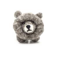 Picture of Charming Lion
