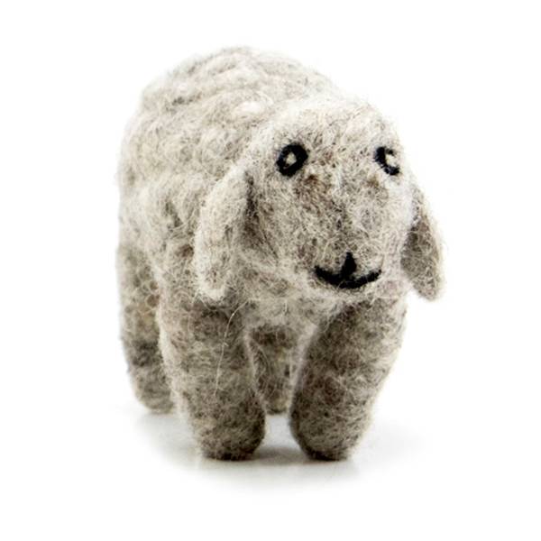 Picture of Sheep Standing