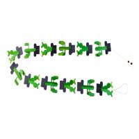 Picture of Cactus Garland D